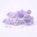 眉毛アイブロウHBL 専門店Anemoneのプロフィール画像