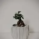 CHINAMI .のプロフィール画像