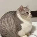 お客様専用 🤍のプロフィール画像