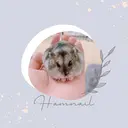 児玉 茉緒のプロフィール画像