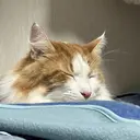 k nanaのプロフィール画像