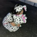 【étoile】 mariaのプロフィール画像