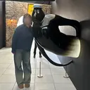 NOA /UNELMA所属のプロフィール画像