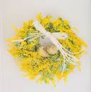 TAMA ちゃんのプロフィール画像