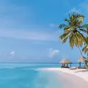 コウ staffのプロフィール画像