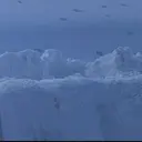 川﨑 千鶴のプロフィール画像