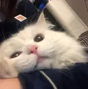 今尾 茉己歩のプロフィール画像