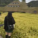 三浦 菜菜子のプロフィール画像