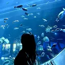 ビューティサロン mahina⋆☽·̩のプロフィール画像