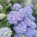 noi 経堂店のプロフィール画像