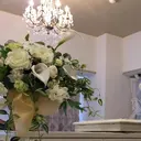 Kalon Irisのプロフィール画像