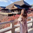 櫻井 美樹のプロフィール画像