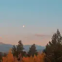 トップアイリスト♡ sayaのプロフィール画像