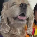 ari ariのプロフィール画像