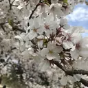 komori .のプロフィール画像