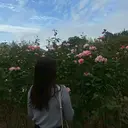 LEPUS （レプス）sasaのプロフィール画像