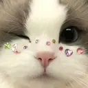 ひがしの ももかのプロフィール画像