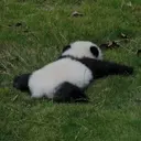 りゅう Todayのプロフィール画像