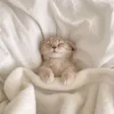 ♡ kaoriのプロフィール画像