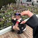 𝕞𝕒𝕚 🪄✩のプロフィール画像