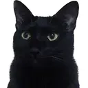 LashOne四条店 松井のプロフィール画像