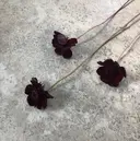 若狭 凜のプロフィール画像