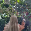 most eyes Ninohiraのプロフィール画像