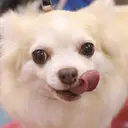 T Jのプロフィール画像