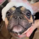 太居 早希のプロフィール画像