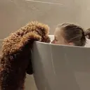 小津 ゆりかのプロフィール画像