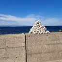 斎藤 幸依のプロフィール画像