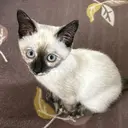 クレアラルーチェ 古賀店のプロフィール画像