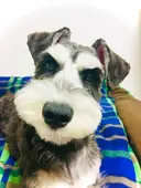 町の小さな養生所 Y's styleのプロフィール画像