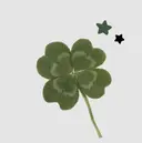 藤本 夢乃のプロフィール画像