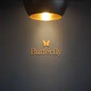Butterfly 鈴木のプロフィール画像
