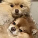 amii.nail mayukaのプロフィール画像