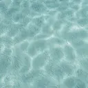 アイブロウサロン Mignonのプロフィール画像