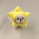 安部🍑下北沢 eyelist˚✧₊のプロフィール画像