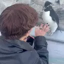 小野 静流のプロフィール画像