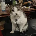 se riのプロフィール画像