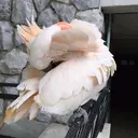 世界のANABA成東 (Murooka)のプロフィール画像