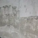 高野 実楓のプロフィール画像