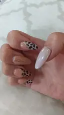 M Moritaのプロフィール画像