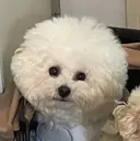 中畑 智美のプロフィール画像