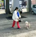 越川 友美子のプロフィール画像