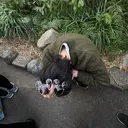 🍃モデル募集🍃 酒井隼のプロフィール画像