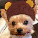 佐久間 春菜のプロフィール画像