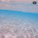 CLOVER 🍀クローバーのプロフィール画像