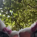 Retia フセのプロフィール画像