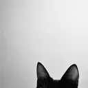 まつエクモデル様募集 無料❕hinataのプロフィール画像